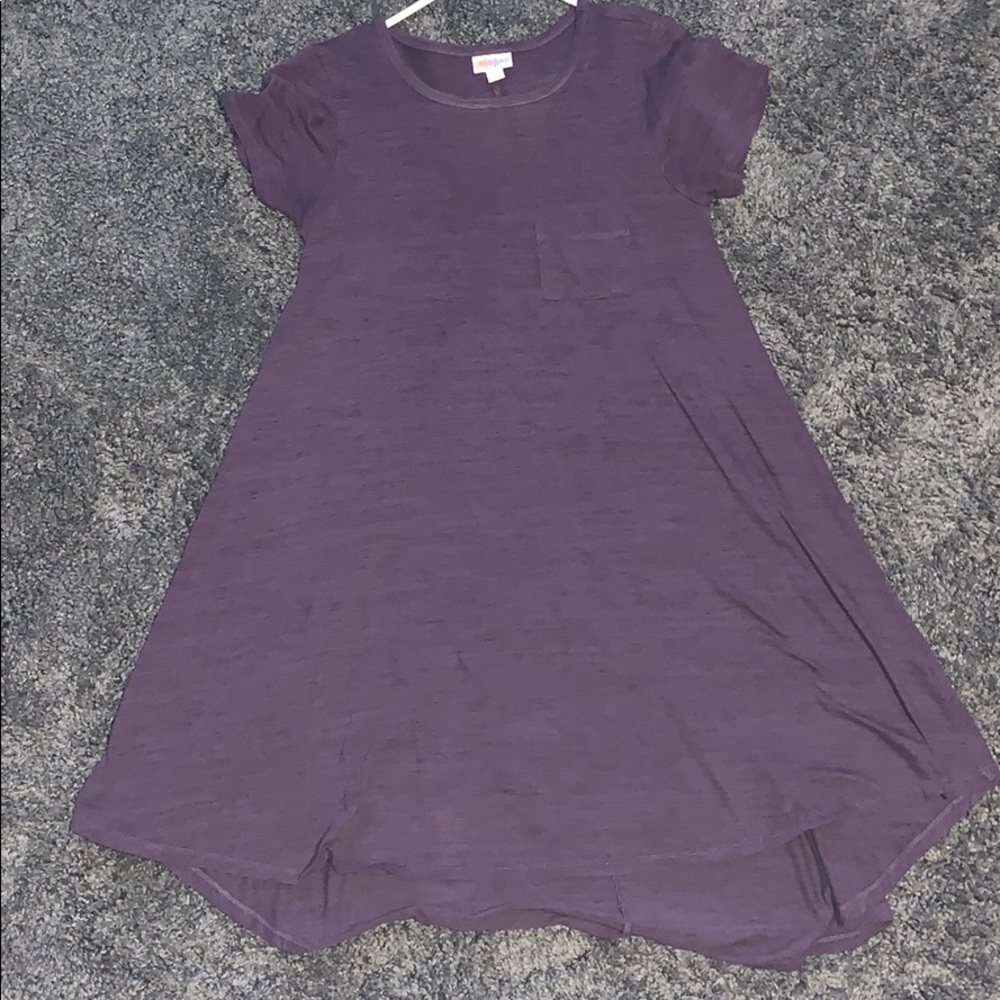 XXS LuLaRoe Carly Purple micro-stripe